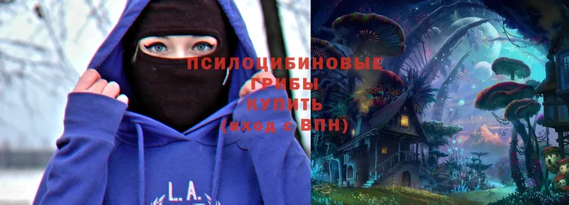 Псилоцибиновые грибы Magic Shrooms  Качканар 